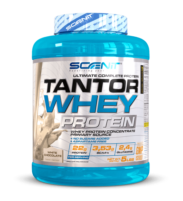 تانتور وی اسکاینت اسپانیا