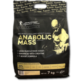 گینر ۷کیلویی آنابوایک کوین لورون