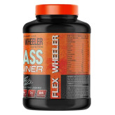 مس گینر حرفه ای فلکس ویلر ۳ کیلو