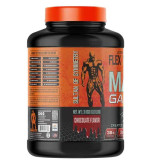 مس گینر حرفه ای فلکس ویلر ۳ کیلو