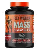 مس گینر حرفه ای فلکس ویلر ۳ کیلو