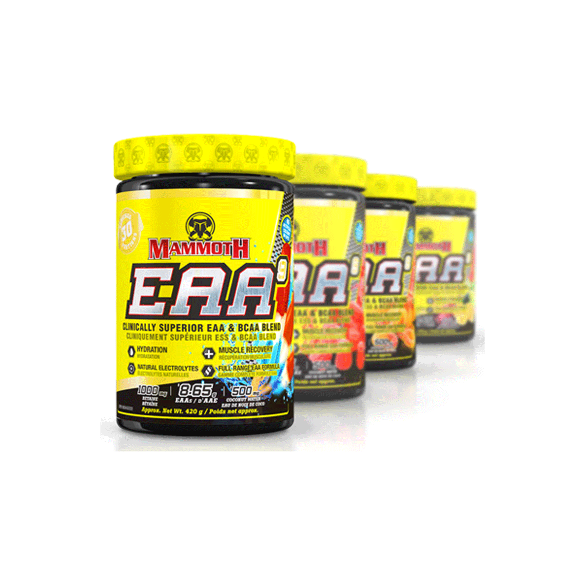 EAA MAMMOTH