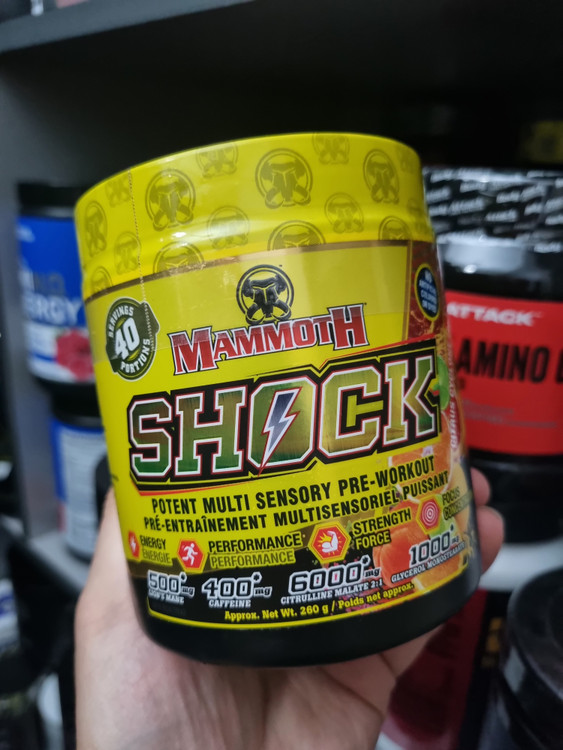 پمپ شوک ماموت